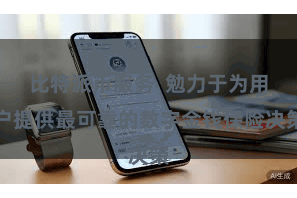 比特派币服务  勉力于为用户提供最可靠的数字金钱保险决策